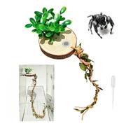 Decoración de araña saltando - Cuerda de escalada magnética escondites de hábitat, accesorios de terrario de reptiles | para tarántulas, geckos, anfibios, mudas, reposo, anidación, escalada