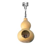 Decoración de araña Saltando - Escondite de araña Saltando | Accesorios de recinto de arañas con magnetismo | Casa de escondite naturalista | de Calabaza Natural Hecho a Mano para entusiastas de