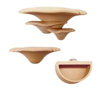 Decoración de araña saltarina: soporte natural magnético de setas con cuenco de agua, escondite interactivo de araña saltadora, diseño ecológico resistente, accesorio divertido al aire libre, viajes d