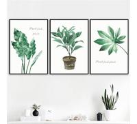 Decoración de Arte,Cuadro Decorativo de Pared Con Bonsái de Cactus y Plantas Verdes en Lienzo Póster Nórdico Con Hojas Verdes para Cocina Sala de Estar y Decoración del Hogar-60*70cm-3PCS (sin marco)