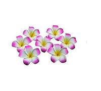 Decoración de boda HugeStore, 100 piezas de 6 cm de diámetro, Frangipani Plumeria, pétalos artificiales de flores de Hawái
