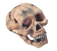 Decoración de calavera para acuario - Aqua Della