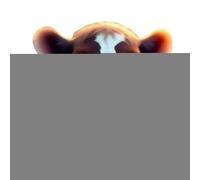 Decoración De De Tierras Altas Escocesas - Decoraciones De Granja De De Madera | Figura Rústica Vaquera Figuras De Madera De Colección Para Bandeja De Varios Niveles, Estantería, Mesa