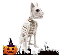 Decoración de esqueleto | espeluznante modelo realista estatua | esqueleto de gato animales decoración de Halloween | adecuado para el jardín, interior, exterior, escritorio, libros, cementerio y