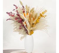 Decoración de Flores secas de Hierba de la Pampa Aufisi (64 Piezas) - Ramo Natural para Mesa de Comedor, Sala de Estar | Decoración de Mesa Estilo Boho | Decoración del hogar sostenible
