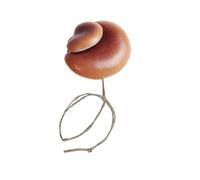 Decoración de hábitat de araña saltadora, juego de de recinto de setas, accesorio de terrario de 2.55 x 1.96 pulgadas, pieza de hábitat de resina, tanque biológico con bonito diseño