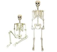 Decoración de Halloween, esqueleto articulable de tamaño real, 165 cm, accesorio de esqueleto humano realista con articulaciones móviles, escena de cementerio de casa embrujada, Halloween, fiestas