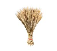 Decoración de hierba de trigo - Ramo de trigo seco, botones amarillos | Decoración floral de trigo natural seca, racimo de trigo natural, gavillas de flores decorativas p