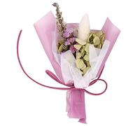 Decoración de la boda Planta de interior opcional púrpura/rosa, Flores secas, Decoración del hogar Regalo de(Purple Paper Powder Do Not White Rabbit)