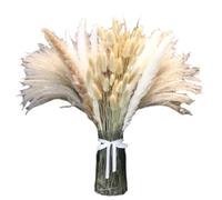 Decoración de pampa, Decoración de pampa seca - Decoración de ramo natural de pampa - de pampa naturaleza vintage, estética para la decoración del dormitorio, centros de mesa para bodas, fiestas