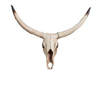Decoración de pared con cráneo de vaca, cabeza de toro de cuernos largos falsos, taxidermia animal.(F)