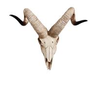 Decoración de pared con cráneo de vaca de cuerno largo, esculturas de cabezas de animales taxidermias de cuernos largos falsos, arte de granja de Bull(E)