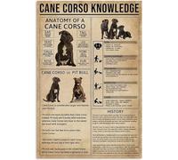 Decoración de pared con información sobre el cane corso, letrero metálico con la historia, anatomía del cane corso, póster para el hogar, dormitorio, sala de estar, placa decorativa de 30 x 40 cm.