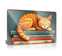 Decoración de pared de metal, bonita decoración del hogar, un gato acogedor toma siestas en una pila de libros. Baño suave estilo rústico para bar del hogar (30 x 40 cm)