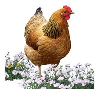 Decoración de pollo al aire libre, gallina de granja acrílica, escultura de jardín, patio decorativo con revestimiento duradero, estatua de gallina para aumentar la elegancia, elevar el atractivo del