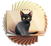 Decoración de primavera al aire libre, calcomanía militar para cubrir un gato negro con llamativos ojos amarillos se sienta en un suelo de madera. Calcomanías de vinilo impermeables de primavera (12 x