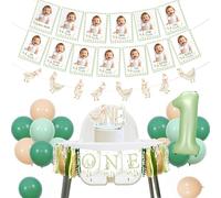 Decoración de primer cumpleaños de ganso con texto en inglés "A Little Silly Goose is Turning One High Chair Banner Geese Mensual Photo Banner Garland Cake Topper Green Number 1 Foil Balloon for Boys