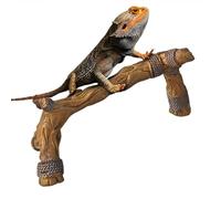 Decoración de ramas de madera de reptil, ramas de escalada para mascotas,Rama trepadora para terrario de reptiles de madera - Rama de árbol trepador de textura natural para tortugas,