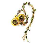 Decoración de recinto de araña, Accesorios magnéticos para Tanques de Reptiles, de hábitat de araña saltadora, para Jugar a Buscar forraje, tarántula, Mantis, escorpión, terrario, Acuario