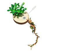 Decoración de recinto de araña, soporte magnético, piel realista de vid para reptiles | Decoración de recinto de araña saltando - para tarántulas, , muda, descanso, jugar, criar, buscar forraje