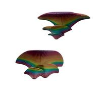 Decoración de terrario de serpientes | Accesorios de terrario autoadhesivos 3D - 2 piezas de terrario de cristal paisaje, para ranas, lagartos, barbacoas, escarabajos, serpientes, arañas, gamón