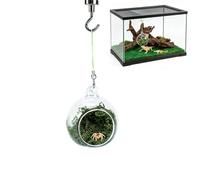 Decoración De Terrario para Araña Saltarina - Hamaca de Descanso Hábitat Escondite Magnético - Refugios para Arañas Arborícolas - para Terrario Anfibios Escarabajos Rinoceronte Tortuga Hogar Juego