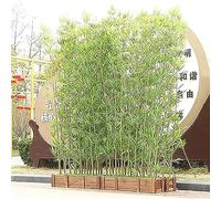 Decoración de valla de bambú artificial, árbol de bambú alto realista para jardín, patio, paisajismo al aire libre (1 m de altura)