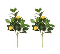 Decoración del hogar con 2 limones simulados fruta artificial realista para espacios contemporáneos (B)