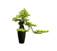 Decoración Falsa Bonsái Artificial de Suelo for decoración Entrada Hotel, Club, Plantas Falsas en Maceta Árbol bonsái Artificial