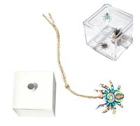 Decoración para Araña Saltarina Juguete Decorativo De Hábitat Con Cuerda