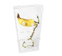 Decoración para arañas de saltar, caja magnética con diseño de frutas | Hábitat para arañas de salto, para gamo barbudo, gecko, Halloween, hierba, pampas, tortuga