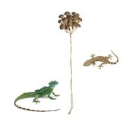 Decoración para El Recinto De Arañas Saltadoras Repisa Magnética De
