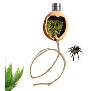 Decoración para el terrario de arañas saltadoras, hábitat magnético de nogal - arañas de saltar Hábitat Accesorios con cuerda, para mantener y criar geckos lagartos y ranas de árboles en terraria
