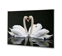 Decoración para sala de estar, dos cisnes formando un corazón. Lienzo decorativo para colgar cuadros para sala de estar (40 x 60 cm)