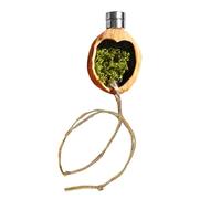 Decoración para Terrario De Arañas Saltadoras,Jaula Magnética de Nuez - Accesorios para Terrario con Cuerda - para Geckos, Lagartos, Cangrejos Ermitaños, Hábitat Doméstico Y