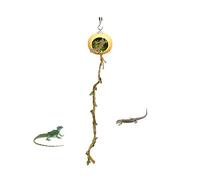 Decoración para Terrario de Arañas Saltarinas,Refugio para Araña Saltadora | Decoración De Refugio para Hábitat De Geckos Y Reptiles Pequeños