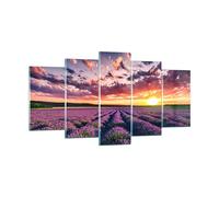 Decoracion Salon lavanda montañas campo Vidrios decorativos 160x85cm Cuadro Sobre Vidrio Moderno Cuadros Pared Impresiones Tríptico 5 Piezas Impresión en Cristal Wall Art Prints Grande GEA160x85-3816