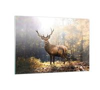 Decoracion Salon Luz Ciervo Bosque Vidrios decorativos 120x80cm Cuadro Sobre Vidrio Moderno Dormitorio Cocina Cuadros Pared Impresiones Impresión en Cristal Wall Art Prints Grande XXL GAA120x80-4452