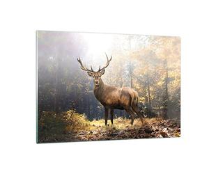 Decoracion Salon Luz Ciervo Bosque Vidrios decorativos 120x80cm Cuadro Sobre Vidrio Moderno Dormitorio Cocina Cuadros Pared Impresiones Impresión en Cristal Wall Art Prints Grande XXL GAA120x80-4452