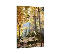 Decoracion Salon Otoño montaña bosque naturaleza Vidrios decorativos 50x70cm Cuadro Sobre Vidrio Moderno Dormitorio Cocina Cuadros Pared Impresiones Impresión en Cristal Wall Art Prints GPA50x70-2713
