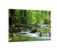 Decoracion Salon Stream Bosque Naturaleza Vidrios decorativos 120x80cm Cuadro Sobre Vidrio Moderno Cocina Cuadros Pared Impresiones Impresión en Cristal Wall Art Prints Grande XXL GAA120x80-0174