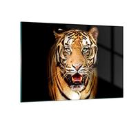 Decoracion Salon tigre animal Vidrios decorativos 120x80cm Cuadro Sobre Vidrio Moderno Dormitorio Cocina Cuadros Pared Impresiones Impresión en Cristal Wall Art Prints Decor Grande XXL GAA120x80-4103