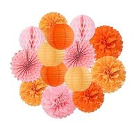 Decoraciones de fiesta de compromiso de Acción de Gracias de color rosa y naranja, 14 faroles de papel de cosecha de otoño, abanico, pompones de seda, bolas de panal, cumpleaños, baby shower,