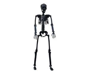 Decoraciones de Halloween - Modelo de esqueleto de tamaño natural para ambiente encantado, accesorios góticos realistas con poses ajustables, decoración esqueleto para patio, jardín, porche, balcón