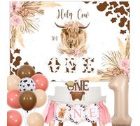 Decoraciones de primer cumpleaños de vaca de las tierras altas para niña, fondo de vaca sagrada Im One, pancarta de silla alta de ganado de las tierras altas, decoración de pasteles, globos de