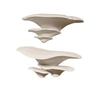 Decoraciones para terrario de Reptiles | realistas 3D | 2 Piezas Plantas Decoraciones Hogar Reptiles - para Lagartos, Geckos, Ranas Camaleones, Dragón Barbudo, Descanso Y Exploración