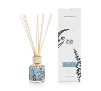 DECORAGLOBA - Ambientador Mikado, difusor de Perfume - Colección Identity Mediterráneo - Aroma a Pino, eucalipto y amaderado - Fragancia Sueños en la Pinada (100ml)