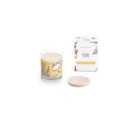 DECORAGLOBA - Vela Aromática en Vaso de Cristal - Fragancia Al Pie del Limonero - Aroma de limón, romero y vetiver - Colección Identity Mediterráneo - 50 Horas de Quemado (220gr)