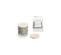 DECORAGLOBA - Vela Aromática en Vaso de Cristal - Fragancia Paseo Silvestre - Aroma a pino, romero y eucalipto - Colección Identity Mediterráneo - 50 Horas de Quemado (220gr)