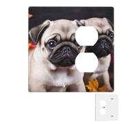 Decorator - Placa de pared de 2 bandas, cubiertas de interruptor de luz dúplex, cubiertas de salida de receptáculo para cachorros, placas de pared para tomas eléctricas, cubierta de enchufe, tamaño